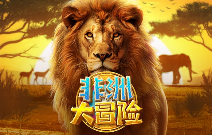 奇趣足球